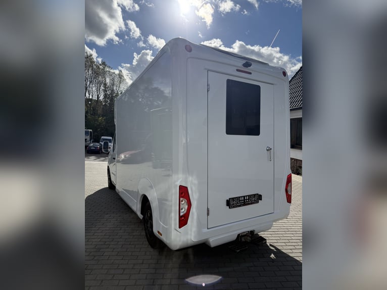 STX Camión para caballos Renault Master automático de 180 CV