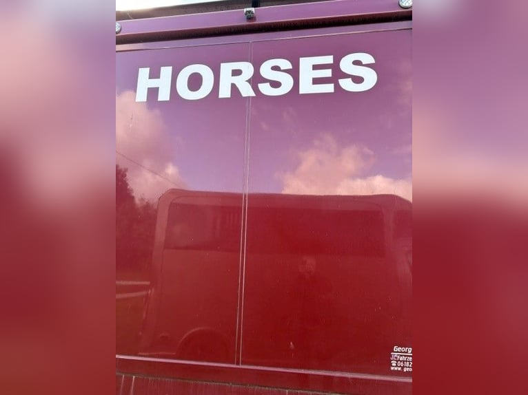 Transportador de 3 caballos con zona de vivienda, capacidad de 7,5 toneladas