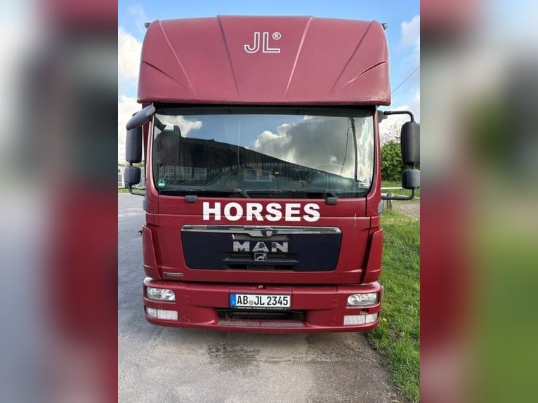 Transportador de 3 caballos con zona de vivienda, capacidad de 7,5 toneladas