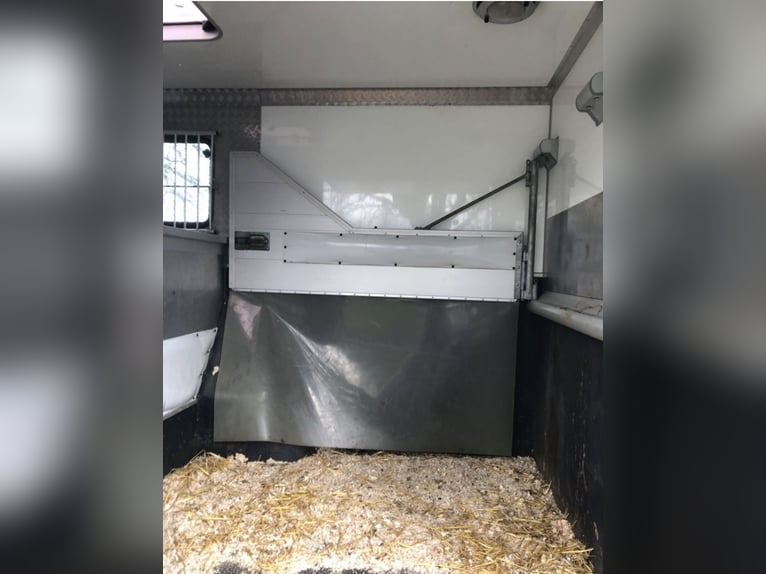 Transportador de caballos Böckmann