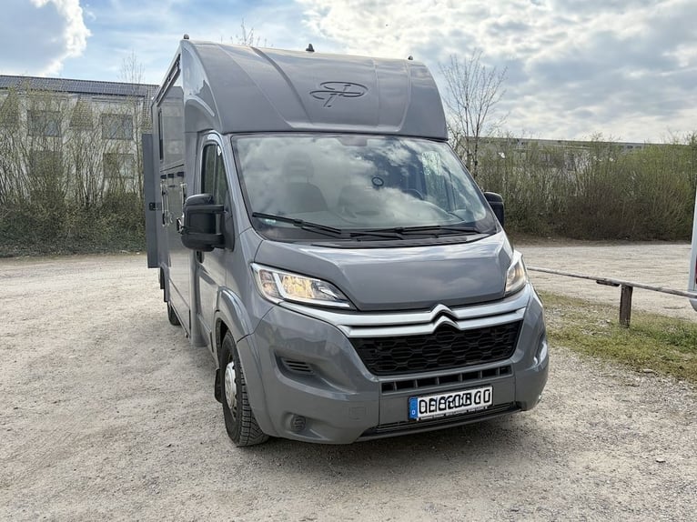 Transportador de caballos Citroën Jumper para 2 caballos. Vehículo de segunda mano con capacidad par