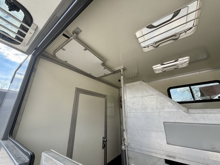 Transportador de caballos Citroën Jumper para 2 caballos. Vehículo de segunda mano con capacidad par