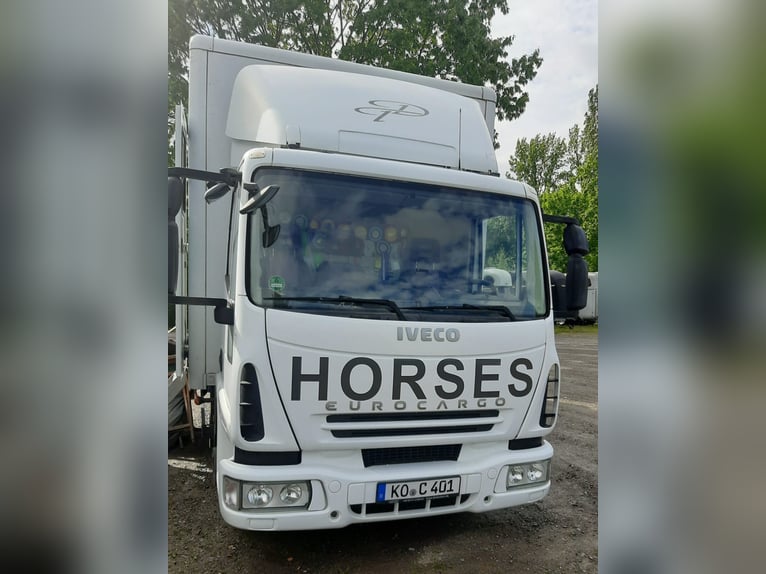 Transportador de caballos IVECO de excelente estado, modelo Dickenherr, con capacidad de 7,49 tonela