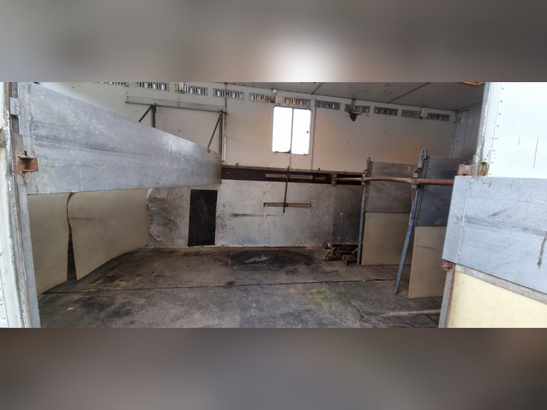 Transportador de caballos MAN con tienda de establo, sin inspección técnica (TÜV)