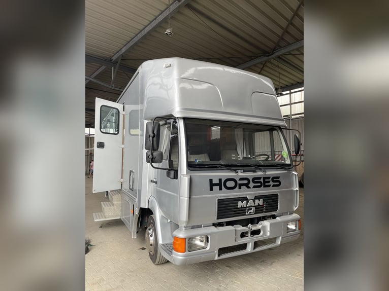 Transportador de caballos MAN L200 con homologación para autocaravana – capacidad para 4 caballos –