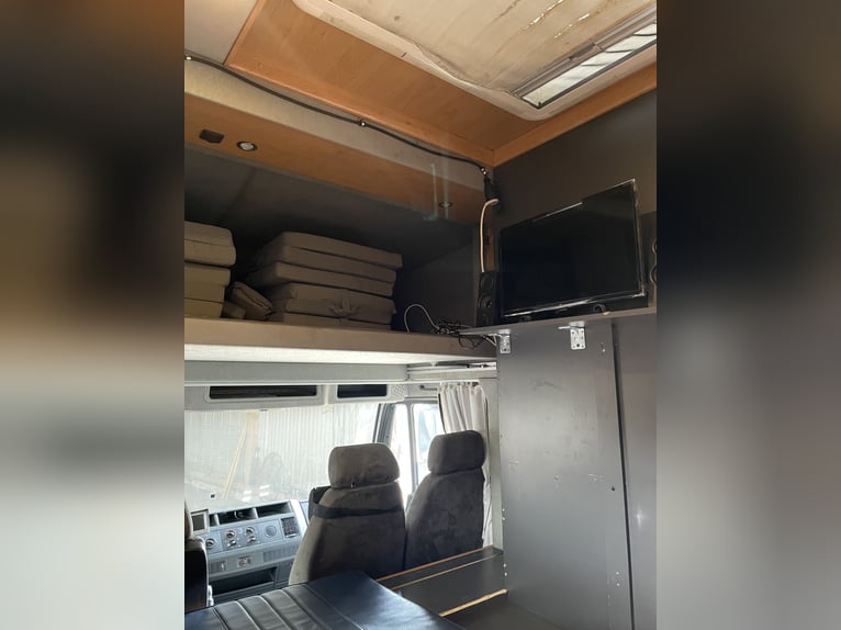 Transportador de caballos MAN L200 con homologación para autocaravana – capacidad para 4 caballos –