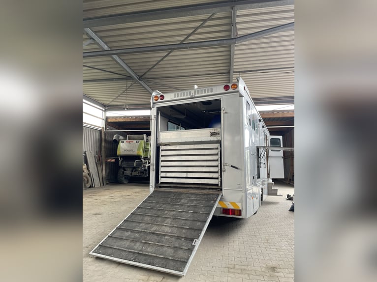 Transportador de caballos MAN L200 con homologación para autocaravana – capacidad para 4 caballos –