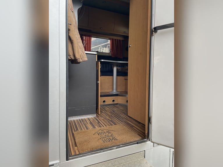 Transportador de caballos MAN L200 con homologación para autocaravana – capacidad para 4 caballos –