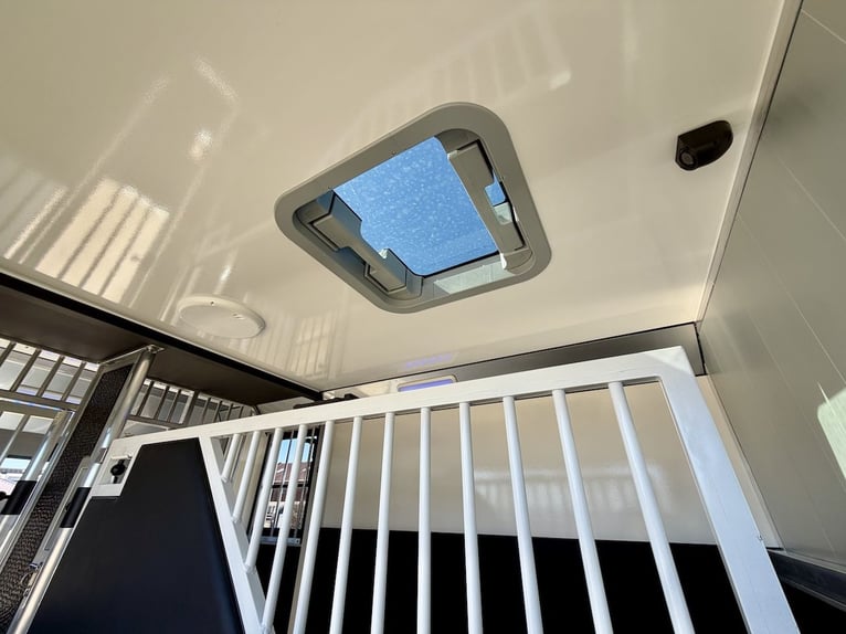 Transportador de caballos Renault para 2 caballos, con capacidad para 5 personas, equipado para caba