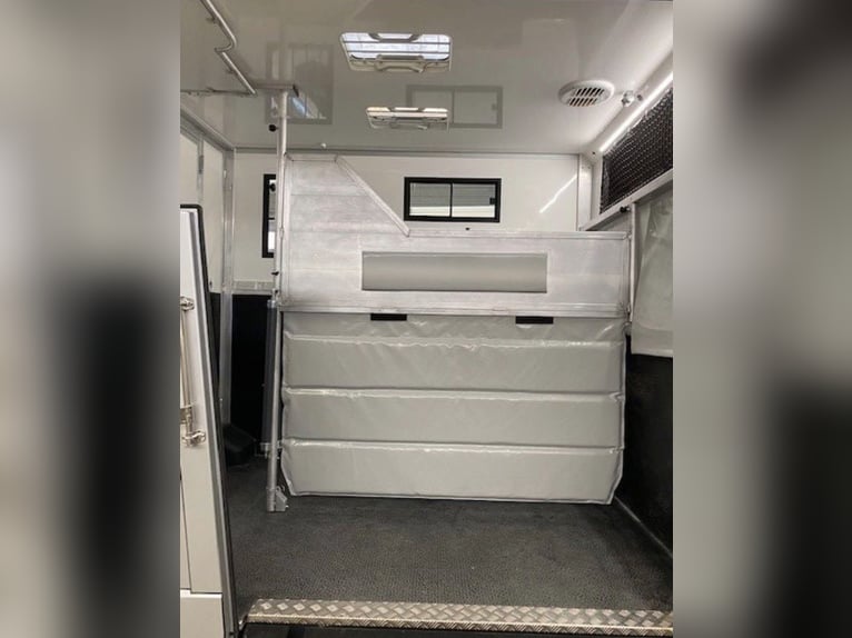 Transportín de caballos MAN TGE 3.180 automático, 3,5 toneladas