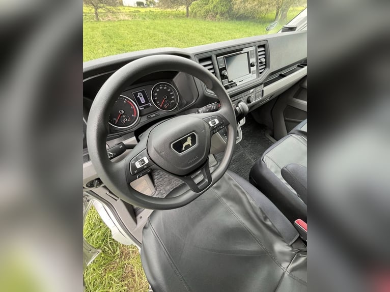 Transportín de caballos MAN TGE 3.180 automático, 3,5 toneladas