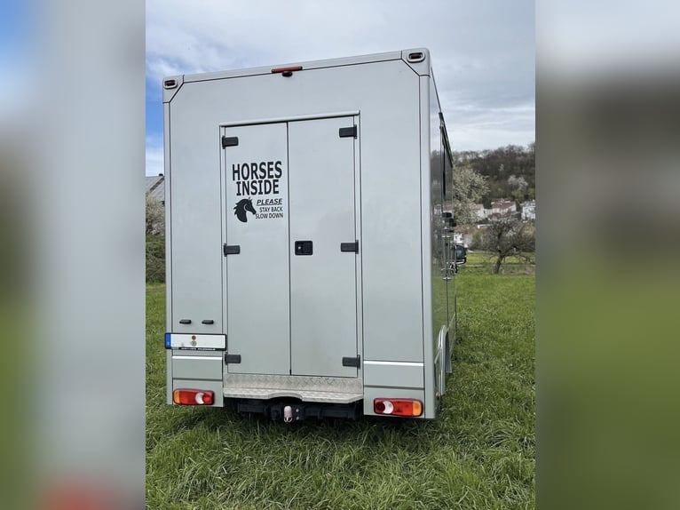 Transportín de caballos MAN TGE 3.180 automático, 3,5 toneladas