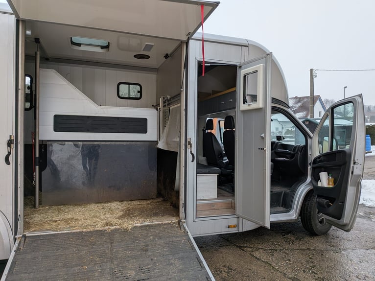 Transportín para caballos; camión para caballos; para 5 caballos; Compact L Plus