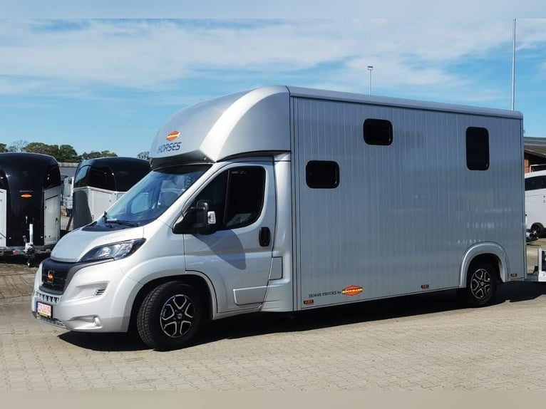 Transportín para caballos; camión para caballos; para 5 caballos; Compact L Plus