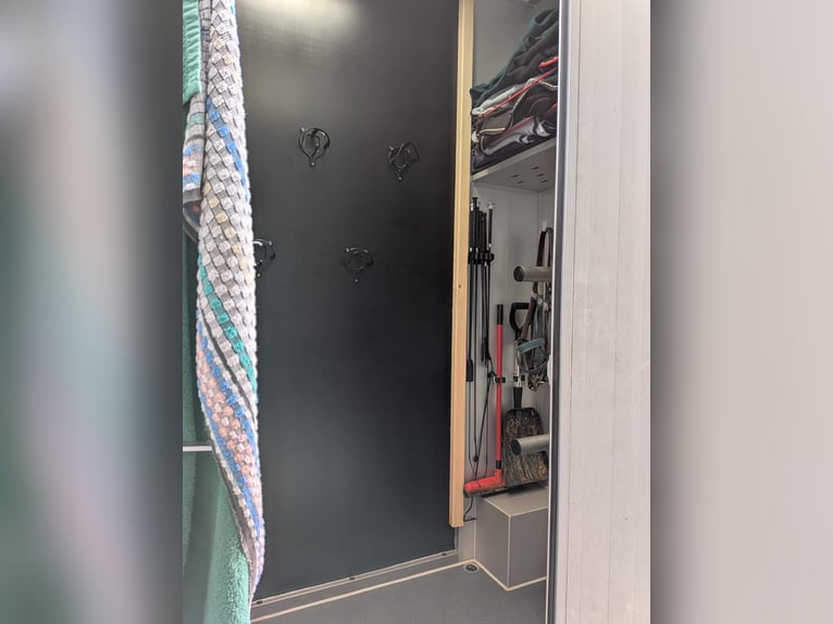 Transportín para caballos; camión para caballos; para 5 caballos; Compact L Plus