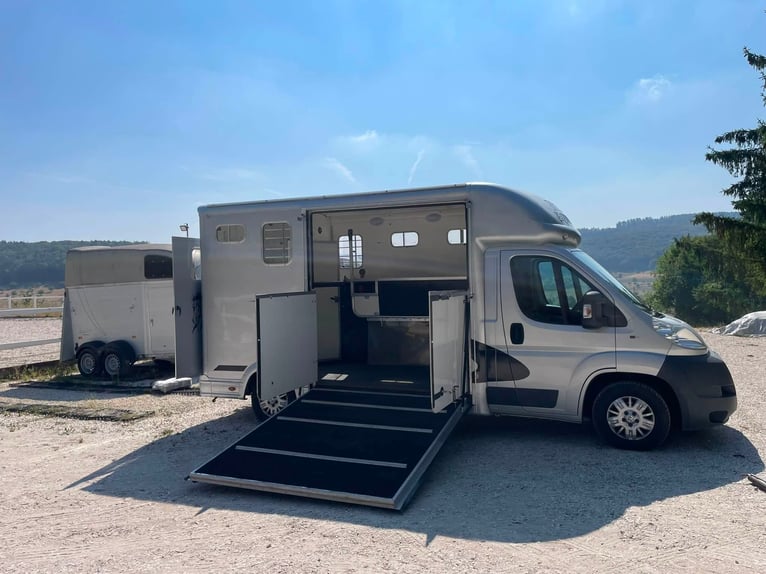Transportín para caballos / Conductor propio Peugeot Equi-Trek Sonic en venta