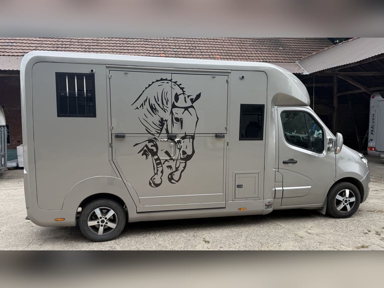 Transportín para caballos STX de 5 plazas