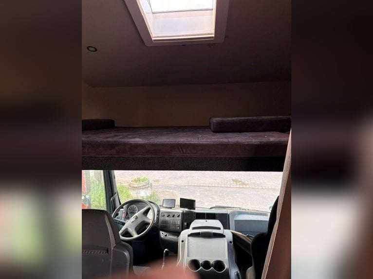 Transportista de 3 caballos con zona de vivienda, capacidad de 7,15 toneladas
