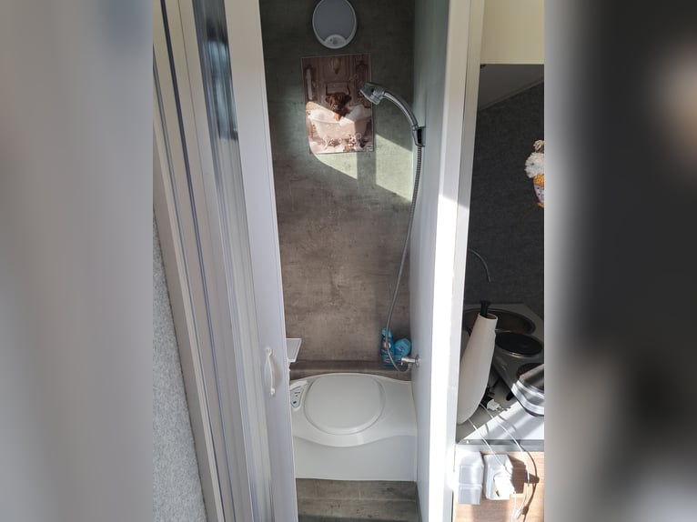 Transportista de caballos, camión de 7,5 toneladas, matrícula H, capacidad para 3 caballos