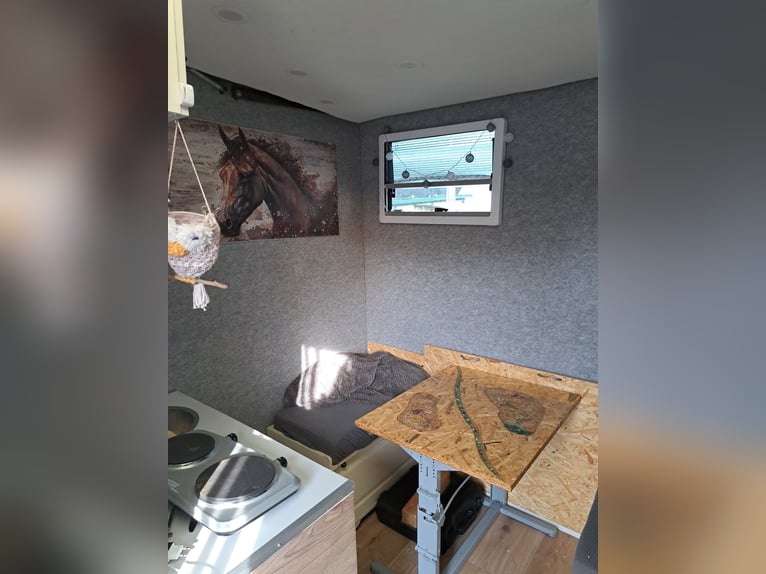 Transportista de caballos, camión de 7,5 toneladas, matrícula H, capacidad para 3 caballos