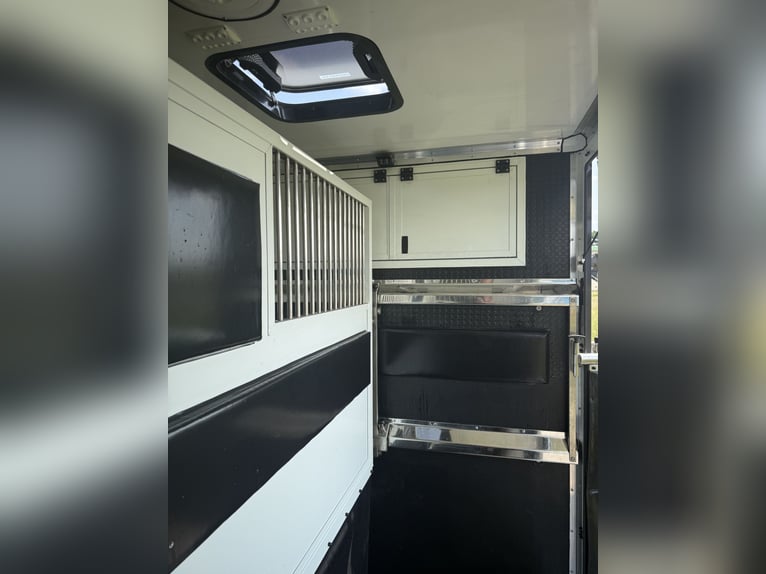 Camión de caballos Mercedes Sprinter de 3 plazas para semental, motor 2.0 CDI, 150 CV