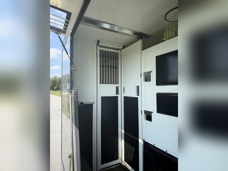 Camión de caballos Mercedes Sprinter de 3 plazas para semental, motor 2.0 CDI, 150 CV