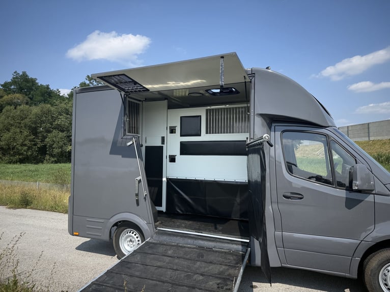 Camión de caballos Mercedes Sprinter de 3 plazas para semental, motor 2.0 CDI, 150 CV