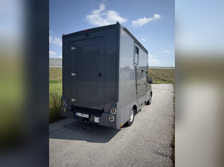 Camión de caballos Mercedes Sprinter de 3 plazas para semental, motor 2.0 CDI, 150 CV
