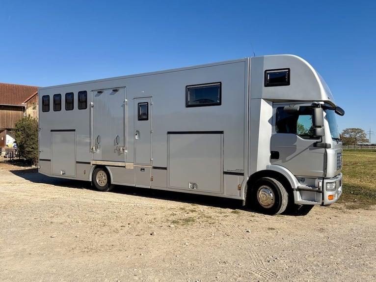 Camión MAN 15.280 Gimmel, transporte de caballos con vivienda, aseo y ducha, para 5 caballos, caja d