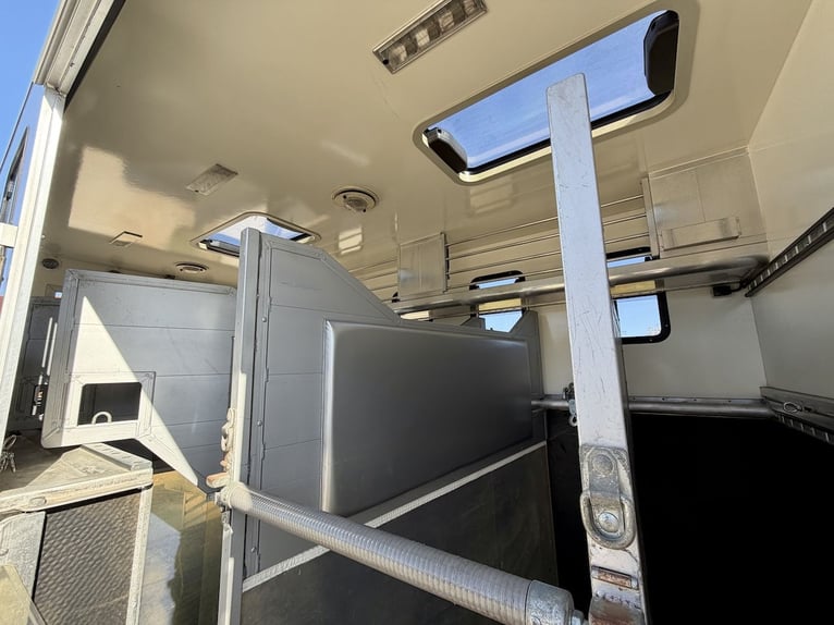 Camión MAN 15.280 Gimmel, transporte de caballos con vivienda, aseo y ducha, para 5 caballos, caja d