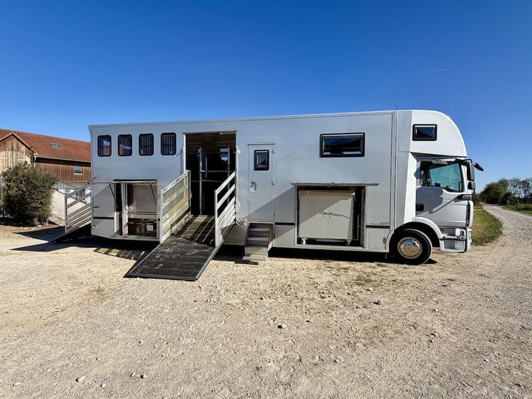 Camión MAN 15.280 Gimmel, transporte de caballos con vivienda, aseo y ducha, para 5 caballos, caja d
