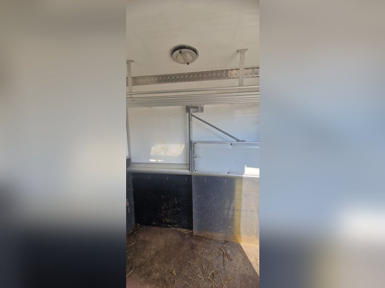 Carro de caballos en venta