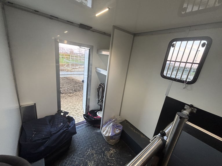 Carro de caballos Renault Master con transmisión automática