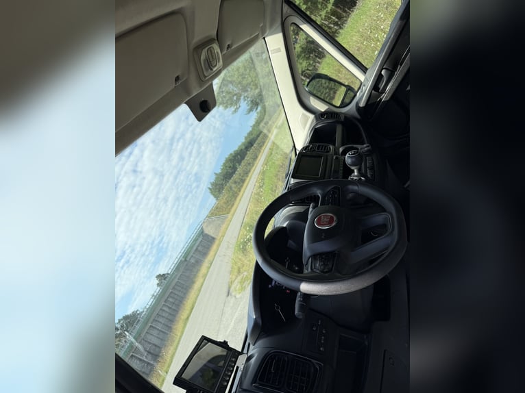 Carro de transporte de caballos Fiat Ducato con capacidad para 5 plazas, diseñado para caballos seme