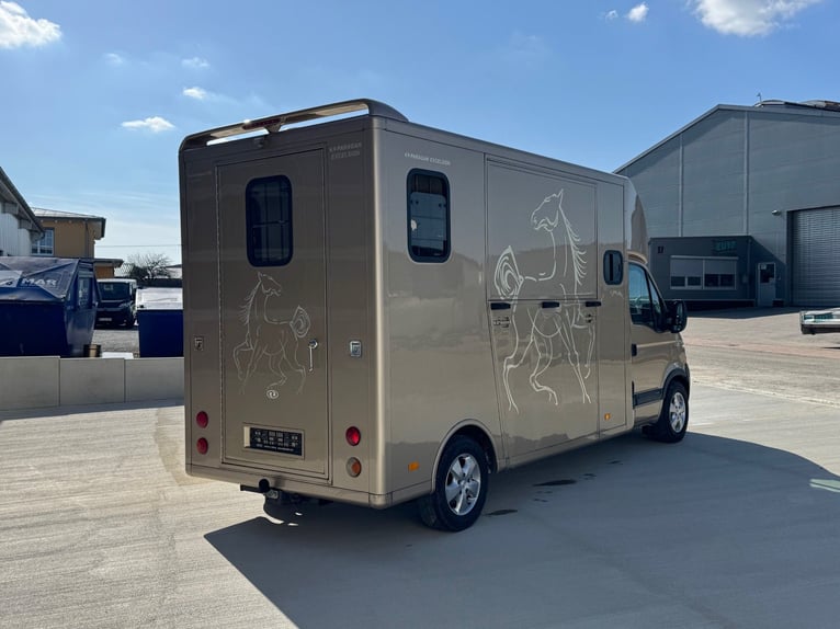 Pferdetransporter Paragan Excelsion 5 Sitzer 81000Km Klima Viehtransporter Horsebox  Horsevan 