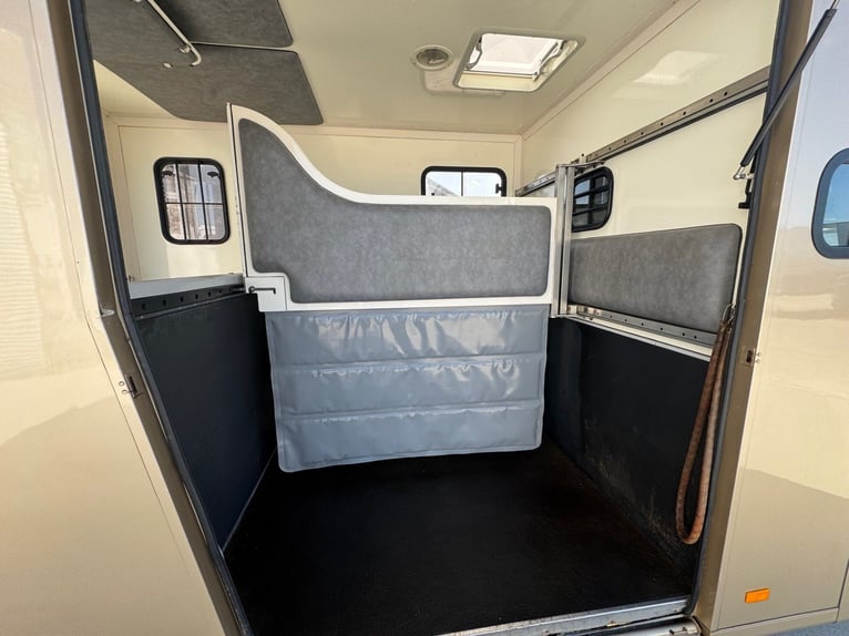 Pferdetransporter Paragan Excelsion 5 Sitzer 81000Km Klima Viehtransporter Horsebox  Horsevan 