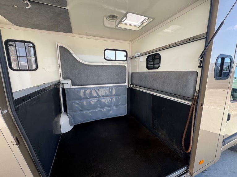 Pferdetransporter Paragan Excelsion 5 Sitzer 81000Km Klima Viehtransporter Horsebox  Horsevan 