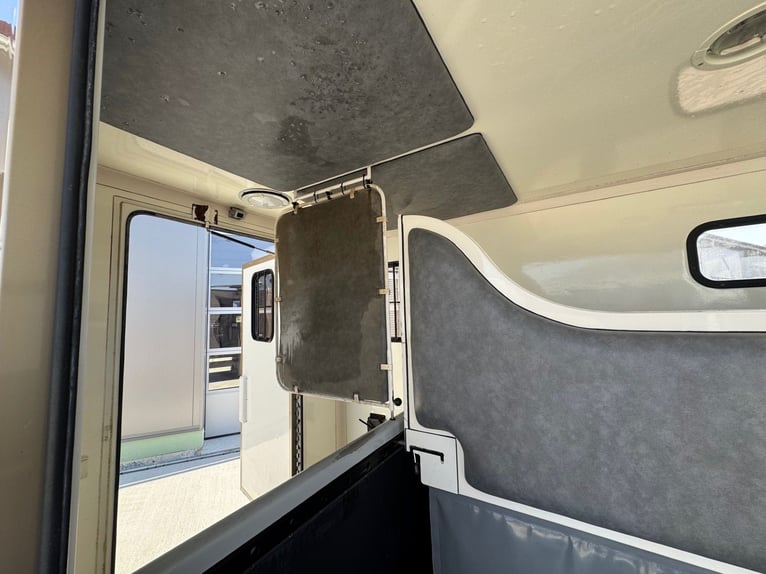 Pferdetransporter Paragan Excelsion 5 Sitzer 81000Km Klima Viehtransporter Horsebox  Horsevan 