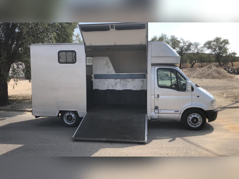 Renault Master 2,8 dci  para 2 caballos 