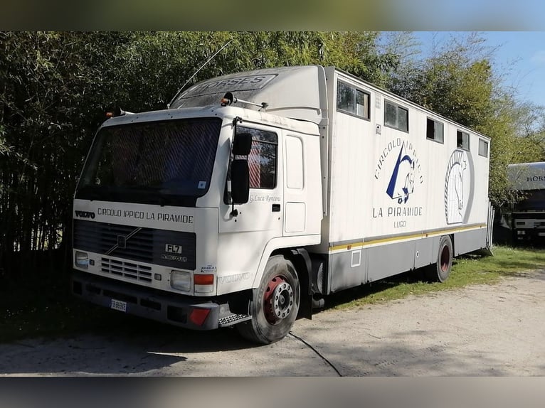 Transporte de 8 caballos con pequeña zona de descanso