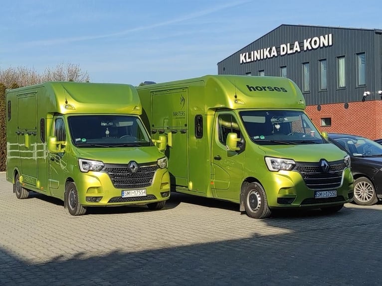 Transporte internacional de caballos