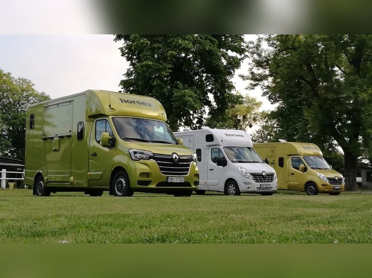 Transporte internacional de caballos