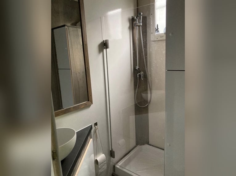 Transportín de caballos Iveco Daily para 3 caballos con vivienda incorporada