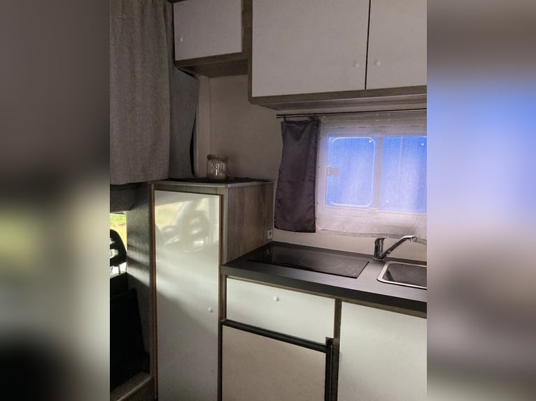 Transportín de caballos Iveco Daily para 3 caballos con vivienda incorporada