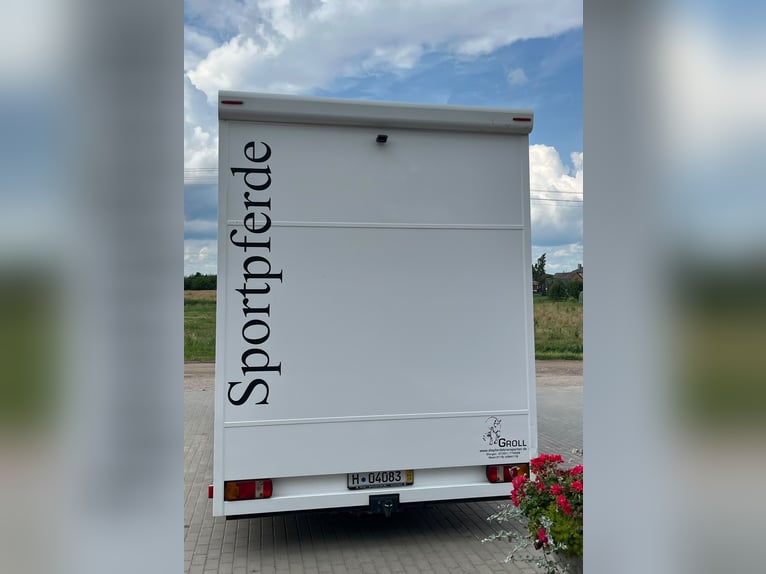 Transportín para 4 caballos MAN TGL 8.180