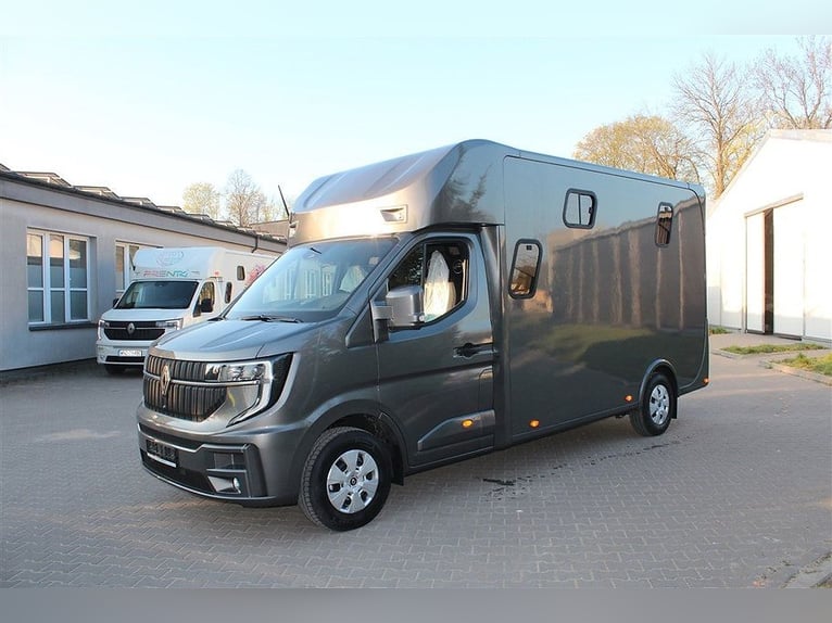 Transportín para caballos con 5 plazas y 3 camas, Renault Master automático, conductor propio, furgó