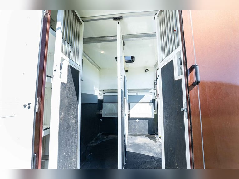 Transportín para caballos, equipado para caballos, 5 plazas, con solo 43,300 km, aire acondicionado,