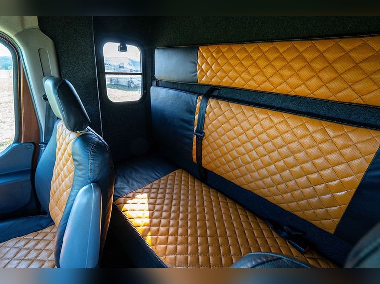 Transportín para caballos, equipado para caballos, 5 plazas, con solo 43,300 km, aire acondicionado,