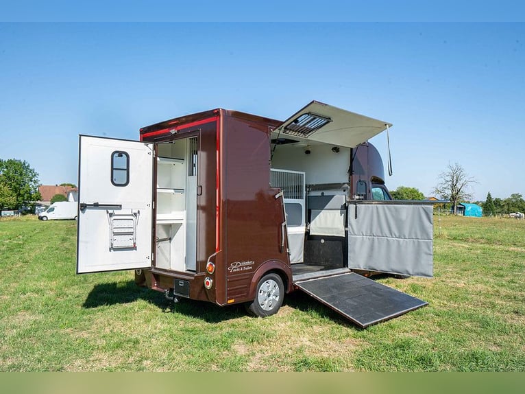 Transportín para caballos, equipado para caballos, 5 plazas, con solo 43,300 km, aire acondicionado,