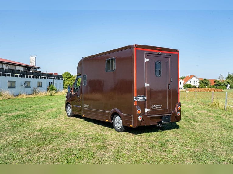 Transportín para caballos, equipado para caballos, 5 plazas, con solo 43,300 km, aire acondicionado,